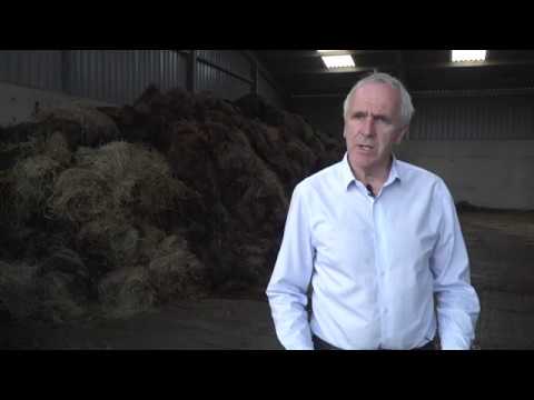 Composting for soil health and fertility