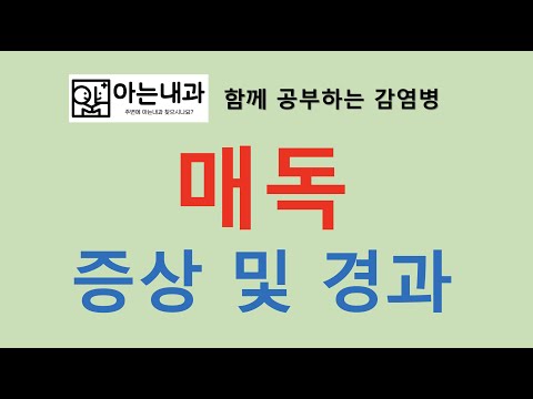 #27 매독 증상 및 경과(feat. 매독을 치료해야하는 이유)