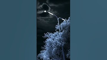 تلاوة مرتلة من سورة الشعراء للقارئ الشيخ أنور الجبرتي