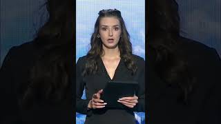 Собака з Нікополя шукає дім: зворушлива історія порятунку. Більше новин за посиланням в описі профі
