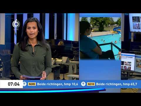 Video: Zwembadveiligheid voor honden