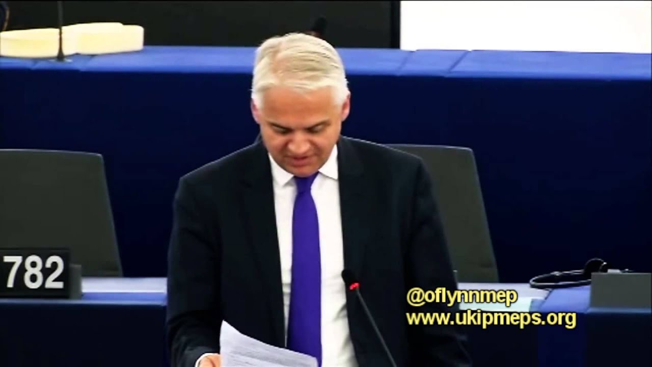 UKIP: Patrick O'Flynn MEP - Capital Markets Union
