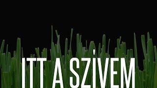 Video voorbeeld van "ITT A SZÍVEM - DOBNER ILLÉS feat. DOBNER ÉVI"