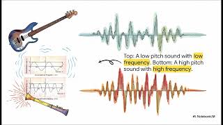Sound - Cracking the Sonic Code - Physics Chapter 7, ICSE Class 8 Profile