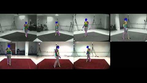 Markerless Motion Tracking: HumanEva-I, S2-walking