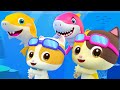 Tiburón Bebé de la Familia de MIMI | Baby Shark | Canciones Infantiles | BabyBus Español