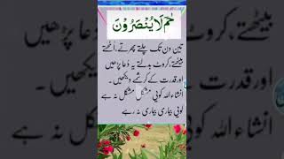 most powerful wazifa for any hajat 🤲🏼 ❤️ #