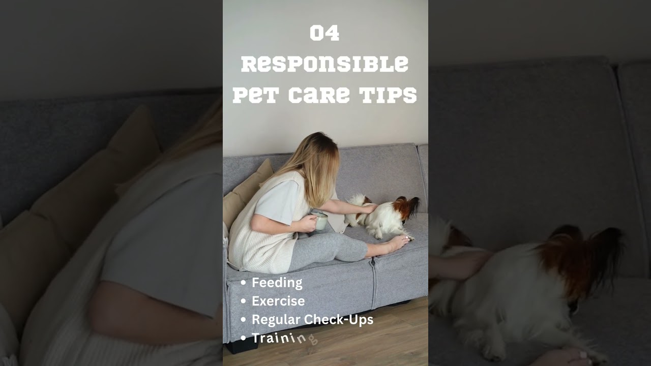 Responsible Pet Care Tips | Pet Care | Pet Love