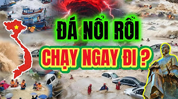 Thiên Cơ Trạng Trình Mở Khóa, 5 Điềm Báo "Đá Nổi" Đã Ứng Nghiệm 2025, Vận Mệnh Đang Rung Chuyển