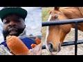 Rick Ross Feeds His Horses Lemon Pepper Carrots Similar To WingStop