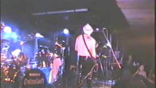 Spinebelt - Fiddlestyx - Buckle & Strap