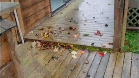 Lynden Home Inspector (King of the House) Metal Deck Flashing