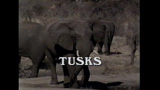 Tusks (1988) Trailer