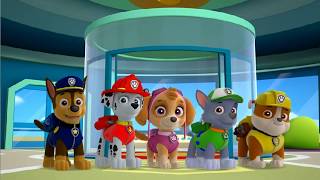 Играем в Академию Щенячьего Патруля с Best Kids Apps все игры подряд на Русском screenshot 2