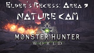 MHW: Elders Recess: Area 5 Nature Cam (Dusk)