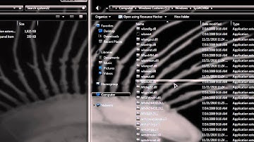 How To Replace .DLL Files For Extras Theme