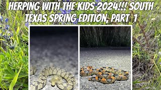 Herping with the kiddos 2024!! South Texas Spring Edition, Part 1.