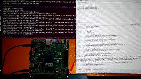 NexysVideo Microblaze & petalinux