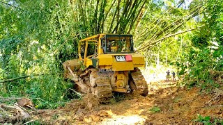Risky Work: CAT D6R XL Bulldozer Tries to Knock Down a Bamboo Tree, This Is What Happens