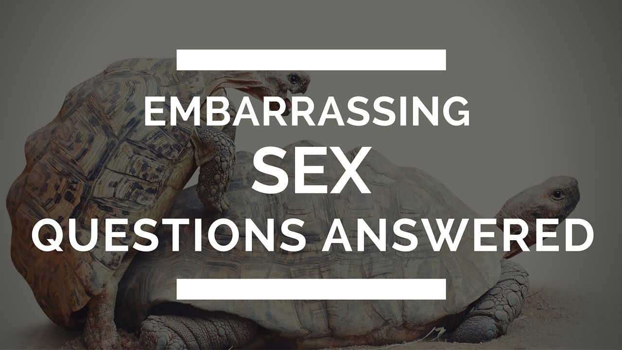 Sex And Conception Your Embarrassing Sex Questions Answered Youtube 