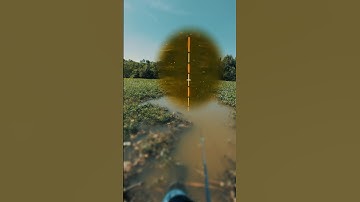 Đoán xem con gì Ae? #vancuongtv #fishing #cauca #caucathiennhien #ytshorts #ytp