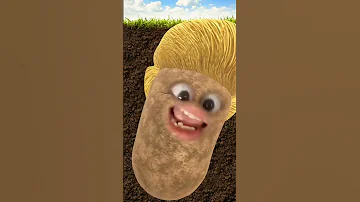 بيو بيو احمد محسن Shorts 