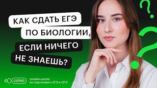 Как сдать ЕГЭ по биологии, если ничего не знаешь? | ЕГЭ БИОЛОГИЯ 2022 | СОТКА