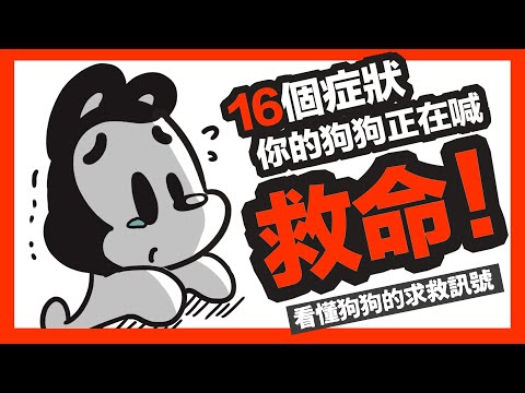 狗與鹿 ｜看懂16個狗狗的身體警訊  | 狗狗暖知識