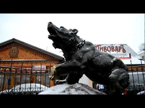 Медведь-символ города Ярославль.