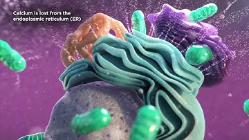 How Our Technology Works