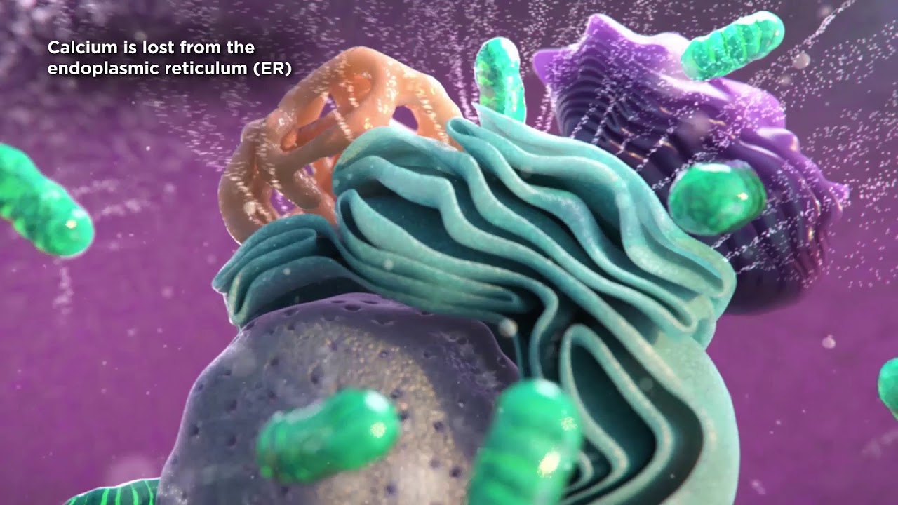 How Our Technology Works - YouTube