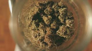 Pound Cake Marijuana Strain