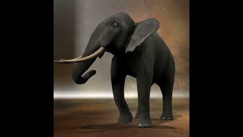 PoserWorld Pose Elephant Grazing Animation Grazing