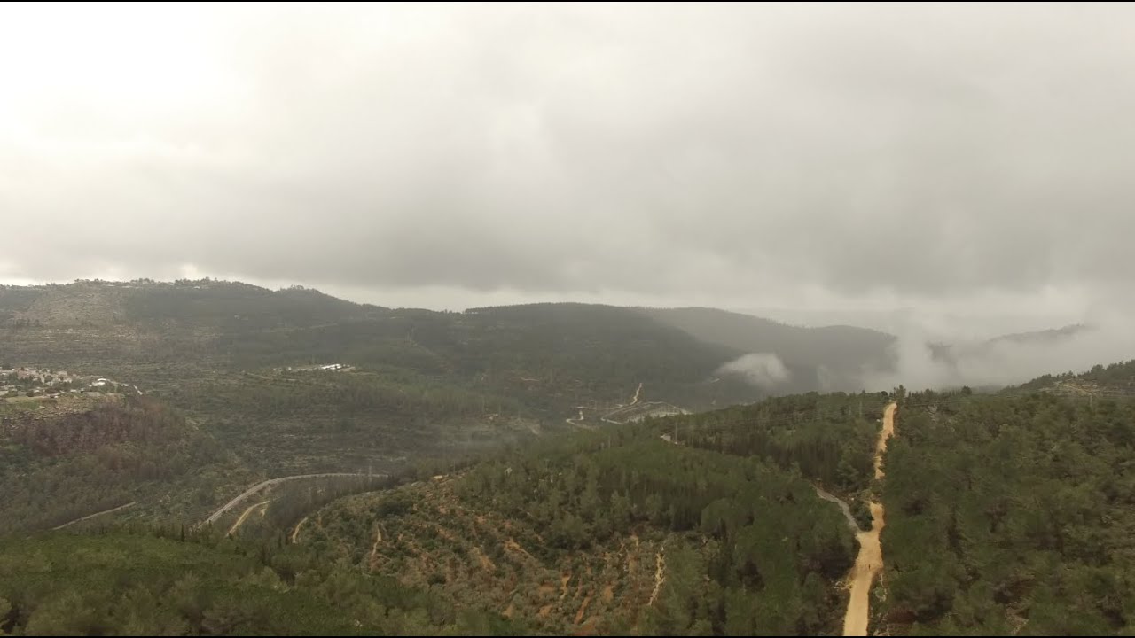 DJI PHANTOM 3 - flying above a forest (4K UHD)