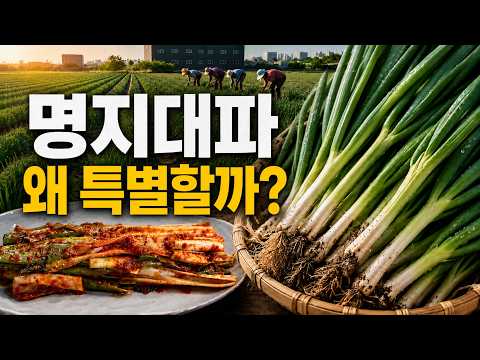 [B-Food의 향연] 전국을 사로잡았던 부산 명지대파, 왜 특별할까? ⎮ EP.02 밀물과 썰물의 만찬