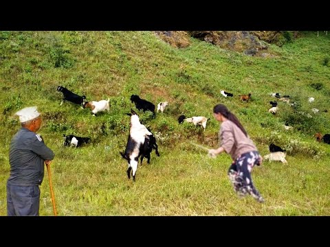 Video: Fotouppsats: Dulal Village, Nepal - Matador Network