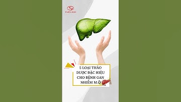5 loại thảo dược đặc hiệu cho bệnh gan nhiễm mỡ | Giải độc gan Tuệ Linh Plus #shorts