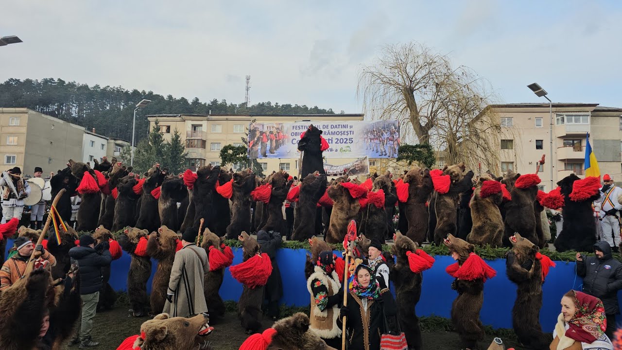 Ursul Din Asău - Ursul Lui Gavrilă - Festivalul De Datini Și Obiceiuri Strămoșești Comanesti  2025