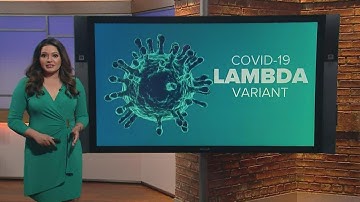 What is the COVID-19 Lambda variant?
