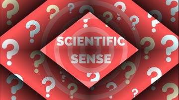 Prof. David Uttal of Northwestern University on Spatial Thinking to Achievement