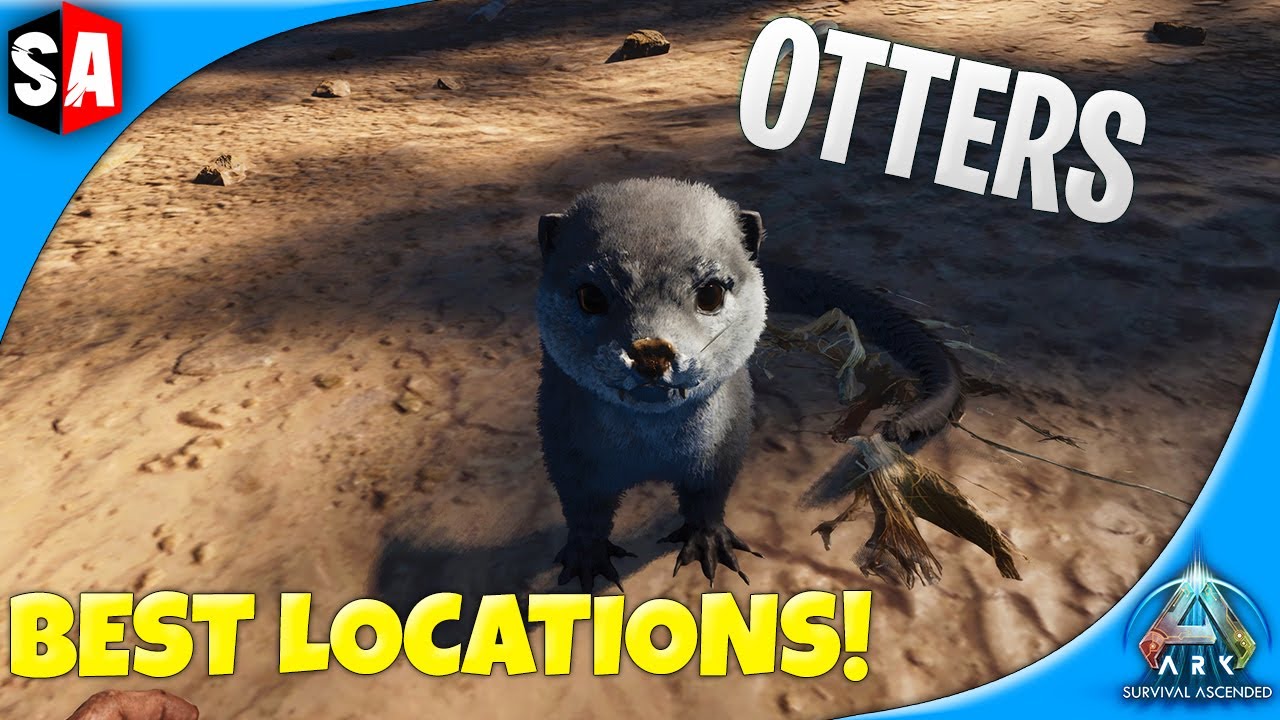 How To Find & Tame A Otter | Ark Survival Ascended - YouTube