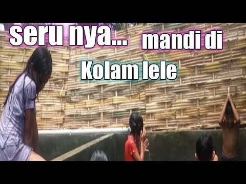 keseruan para bocil mandi di kolam lele