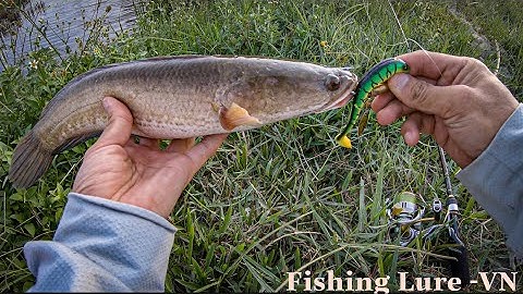 Câu Lure Cá Lóc: Tổng hợp những pha lên cá bằng nhái hơi Hunter v4, NFF, Orochi| Fishing Lure-VN