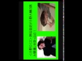 【神谷浩史&times;小野大輔】2人が泣くほど笑ったおもし