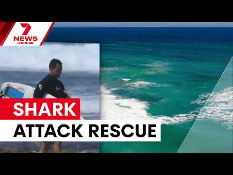 Local hero saves surfer after shark attack | 7NEWS