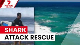 Download Lagu Local hero saves surfer after shark attack | 7NEWS Download Lagu Local hero saves surfer after shark attack | 7NEWS