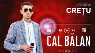 Nicolae Crețu - CAL BĂLAN