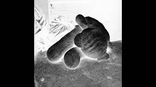 Armand Hammer & August Fanon - Alternate Side Parking (Extended 1/2 Instrumental)