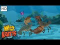 Wild Kratts |SUPER Water Creatures!|ANIMALS