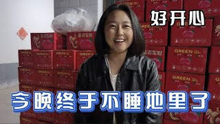 玲玲小两口晚上终于不用睡地里了,准备了几百箱苹果做个完美收尾